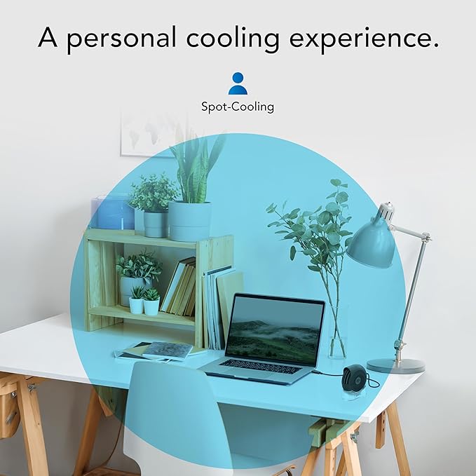 Vornado PEBL PAK Portable Desk Fan with Carry Case, USB Fan, Magnetic Base, Adjustable Airflow, Personal Spot-Cooling, 2 Speed Settings, Included Wall Adapter, Perfect as Home, Office, or Travel Fan