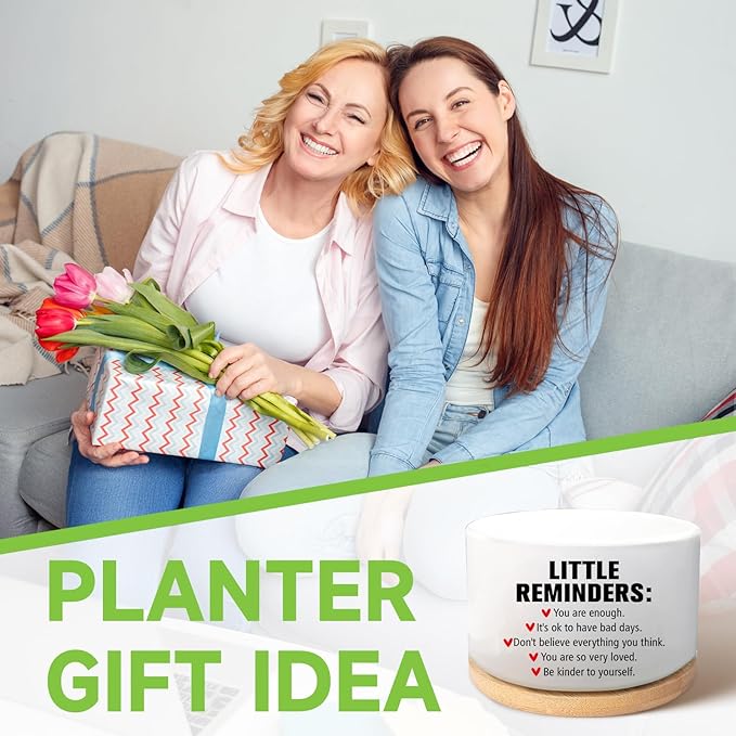 Office Desk Shelf Decor Inspirational Gifts for Coworker, Funny Succulent Plant Pot, Ceramic Flower Planter, Positive Gifts for Coworkers Employee Friends Office Accessorie(Plants Not Included)