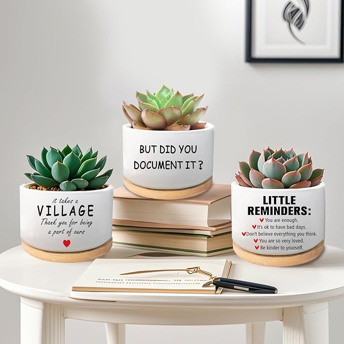 Office Desk Shelf Decor Inspirational Gifts for Coworker, Funny Succulent Plant Pot, Ceramic Flower Planter, Positive Gifts for Coworkers Employee Friends Office Accessorie(Plants Not Included)