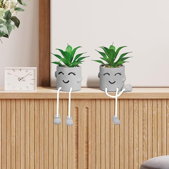 2PCS Fake Succulents, Artificial Plants Bathroom Decor, Mini Plants Shelf Decor, Small Desk Plant for Home Decor, Cute Faux Plants Office Decor, Fake Plants for Women Desk