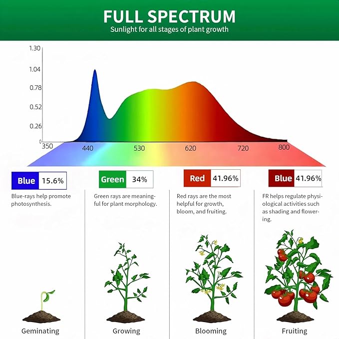 Table Top Grow Light for Indoor Plants – Decorative Desk Plant Light for Succulents Bonsai Cactus, Adjustable Desktop Grow Lights with Base, Cute Office Mini Grow Lamp