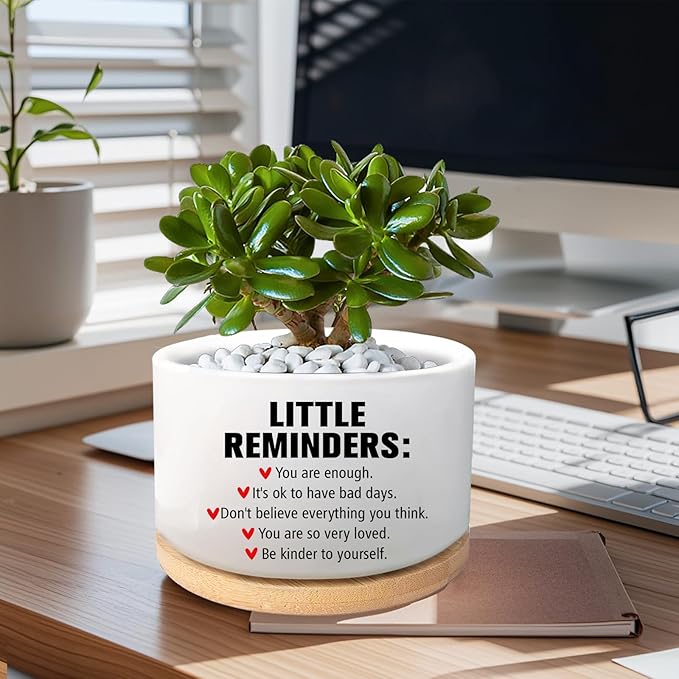 Office Desk Shelf Decor Inspirational Gifts for Coworker, Funny Succulent Plant Pot, Ceramic Flower Planter, Positive Gifts for Coworkers Employee Friends Office Accessorie(Plants Not Included)