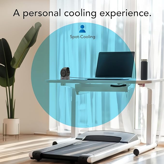 Vornado PEBL Portable Desk Fan, USB Fan, Magnetic Base, Adjustable Airflow, Personal Spot-Cooling, 2 Speed Settings, Included Wall Adapter, Perfect as Home, Office, or Travel Fan
